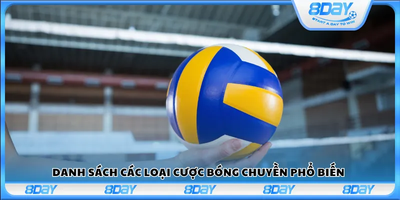 Danh sách các loại cược bóng chuyền phổ biến