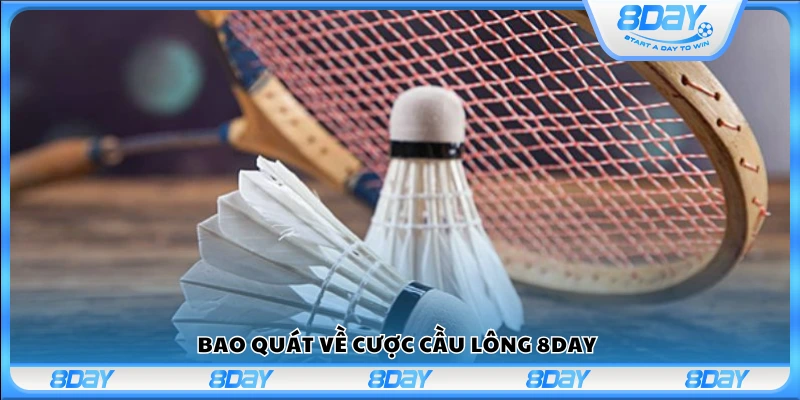 Khái quát chung về cược cầu lông tại 8Day