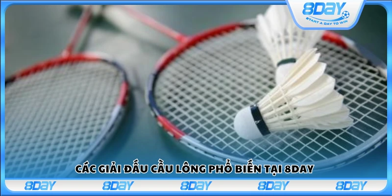 Các giải đấu cầu lông phổ biến tại 8Day