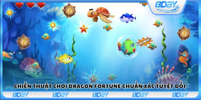 Chiến thuật chơi Dragon Fortune chuẩn xác tuyệt đối