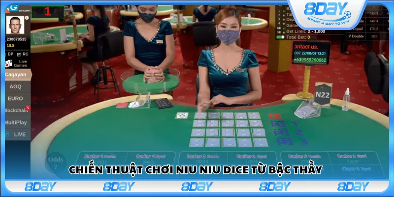 Chiến thuật chơi Niu Niu Dice từ bậc thầy