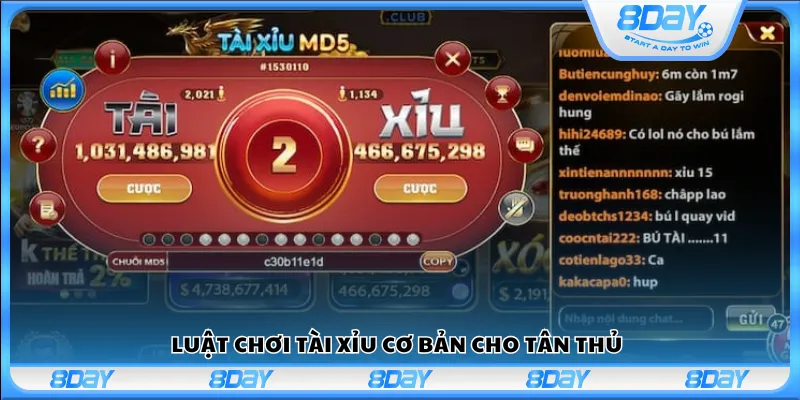 Luật chơi Tài Xỉu cơ bản cho tân thủ