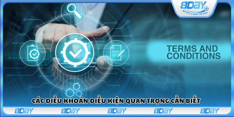 Các điều khoản điều kiện quan trọng cần biết