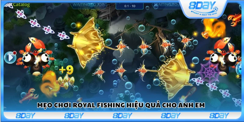 Bí quyết giúp bạn săn cá dễ thắng trong Royal Fishing