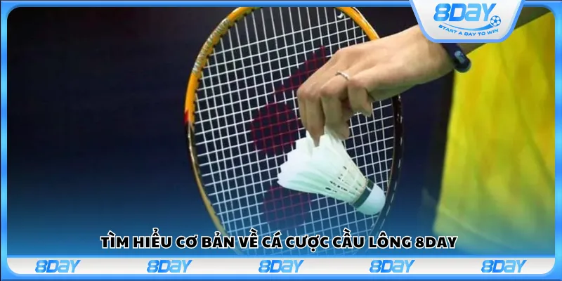 Tìm hiểu cơ bản về cá cược cầu lông 8day