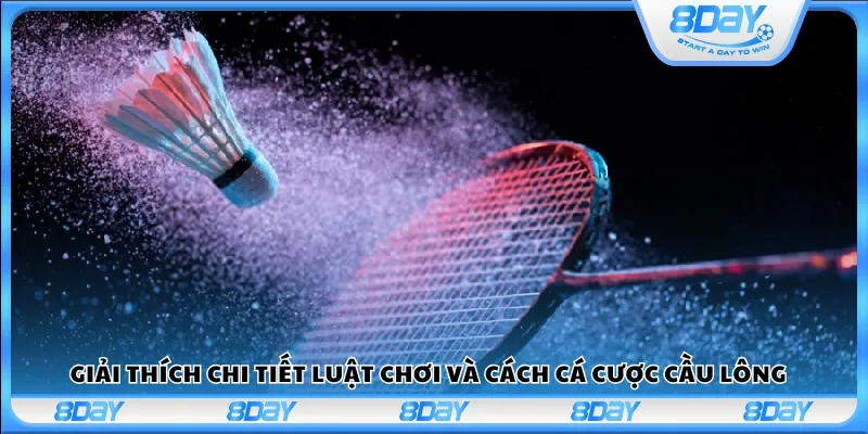 Giải thích chi tiết luật chơi và cách cá cược cầu lông