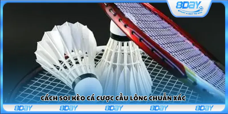 Cách soi kèo cá cược cầu lông chuẩn xác