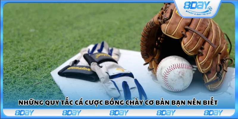 Những quy tắc cá cược bóng chày cơ bản bạn nên biết