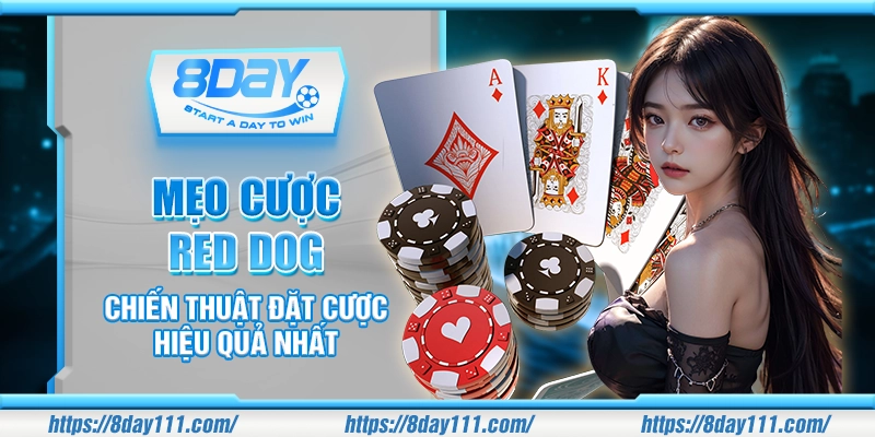 Mẹo cược Red Dog – Chiến thuật đặt cược hiệu quả nhất