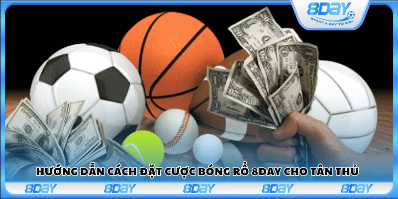 Hướng dẫn cách đặt cược bóng rổ 8day cho tân thủ