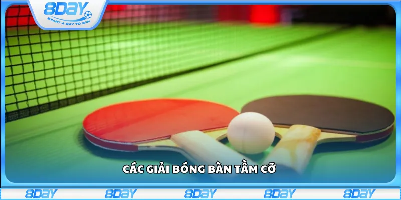 Các giải bóng bàn tầm cỡ 