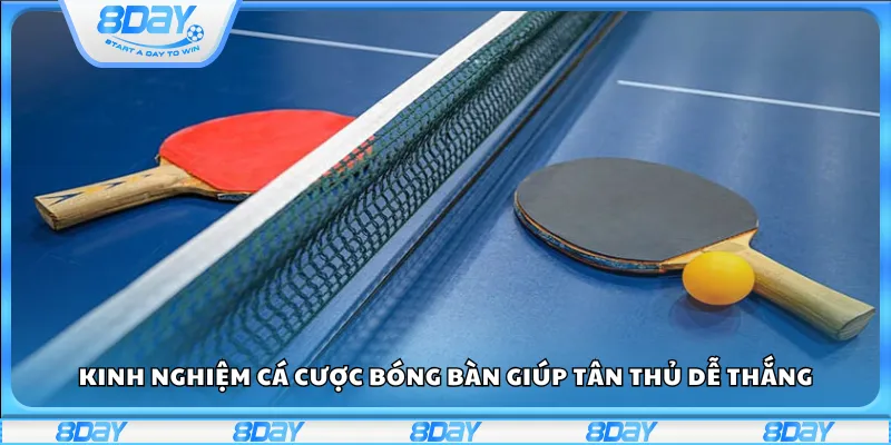 Kinh nghiệm cá cược bóng bàn giúp tân thủ dễ thắng