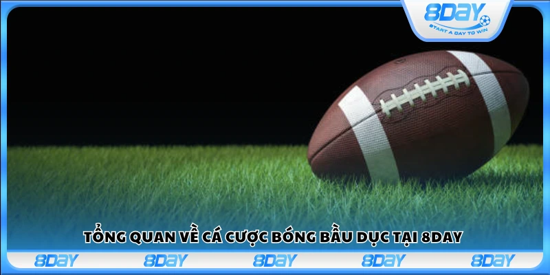 Giới thiệu sơ lược về kèo cược bóng bầu dục tại 8Day