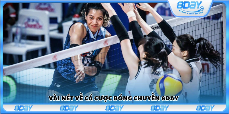 Tìm hiểu về cá cược bóng chuyền tại 8 Day