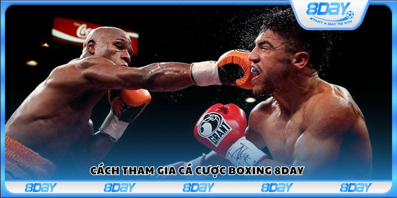 Hướng dẫn tham gia cá cược Boxing tại 8 Day