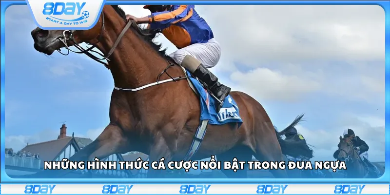Những hình thức cá cược nổi bật trong đua ngựa