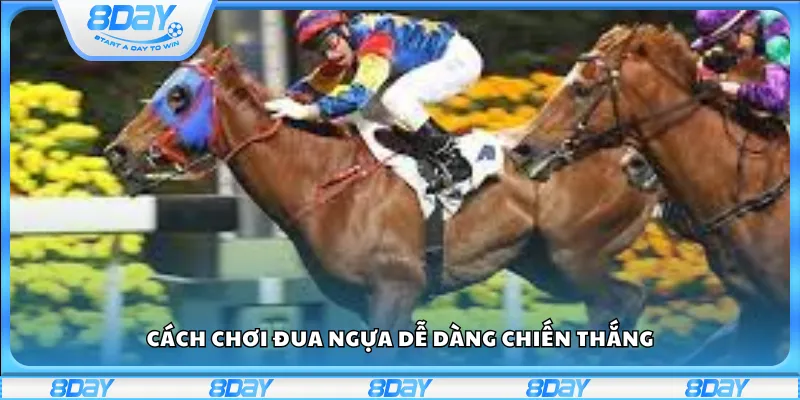 Cách chơi đua ngựa dễ dàng chiến thắng