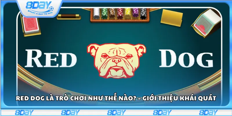 Red Dog là trò chơi như thế nào? – Giới thiệu khái quát