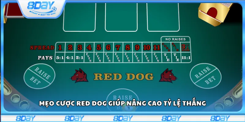 Mẹo cược Red Dog giúp nâng cao tỷ lệ thắng